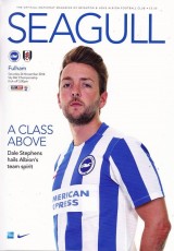 Brighton & Hove Albion v Fulham