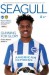 Brighton & Hove Albion v Burton Albion