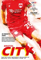 Bristol City v Fulham