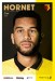 Watford v Swansea City