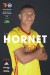 Watford v Brighton & Hove Albion