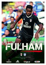 Fulham v Cardiff City