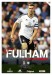 Fulham v Preston North End