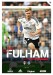 Fulham v Bolton Wanderers