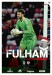 Fulham v Barnsley