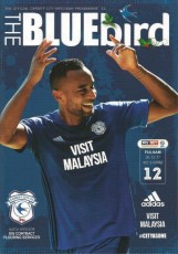 Cardiff City v Fulham