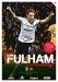 Fulham v Brentford
