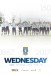 Sheffield Wednesday v Fulham