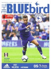 Cardiff City v Fulham