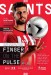 Southampton v Newcastle United