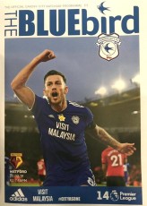 Cardiff City v Watford