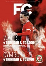 Wales v Trinidad & Tobago
