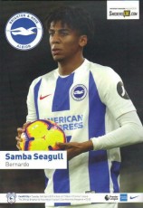Brighton & Hove Albion v Cardiff City