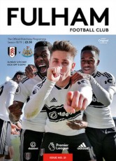 Fulham v Newcastle United