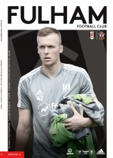 Fulham v Southampton