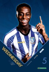 Sheffield Wednesday v Everton