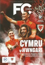 Wales v Hungary