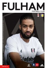 Fulham v Aston Villa