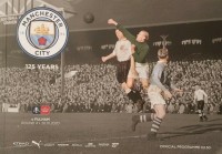 Manchester City v Fulham