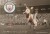 Manchester City v Fulham