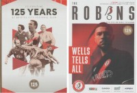 Bristol City v Fulham