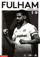 Fulham v Cardiff City