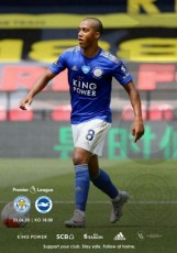 Leicester City v Brighton & Hove Albion