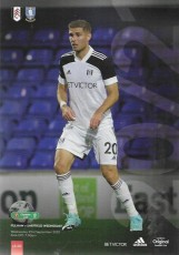 Fulham v Sheffield Wednesday