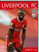 Liverpool v Arsenal
