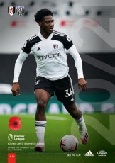 Fulham v West Bromwich Albion