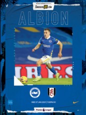 Brighton & Hove Albion v Fulham