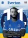 Everton v Fulham
