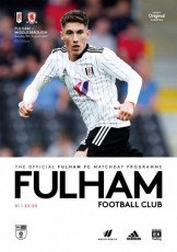 Fulham v Middlesbrough