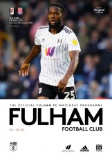 Fulham v Stoke City