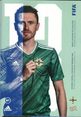 Northern Ireland v Switzerland