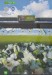 Leicester City v Brighton & Hove Albion