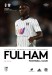 Fulham v Cardiff City
