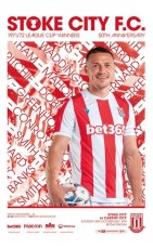 Stoke City v Cardiff City