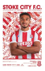 Stoke City v Fulham