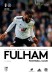 Fulham v Millwall