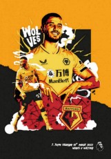 Wolverhampton Wanderers v Watford