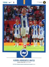 Brighton & Hove Albion v Newcastle United