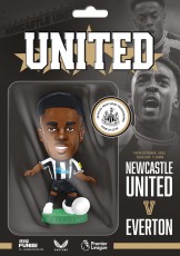 Newcastle United v Everton