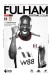 Fulham v Aston Villa