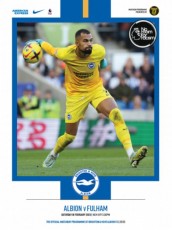 Brighton & Hove Albion v Fulham