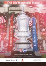 Stoke City v Brighton & Hove Albion