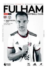 Fulham v Manchester City