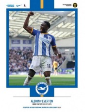 Brighton & Hove Albion v Everton