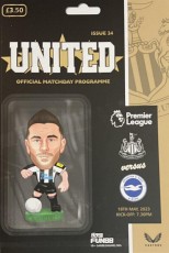 Newcastle United v Brighton & Hove Albion