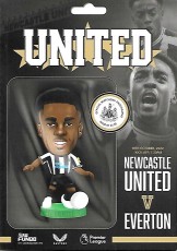 Newcastle United v Everton